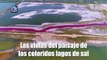 Las vistas del paisaje de los coloridos lagos de sal con dron