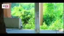 - Dulhin Ganga Paar Ke (Official Trailer) - - Khesari Lal Yadav , - Kajal Raghwani -Bhojpuri Movie 2018 ( 480 X 854 )