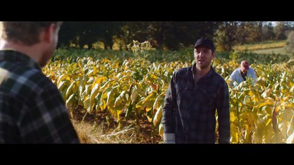 Harrow Season 1 Episode 8 (Streaming)