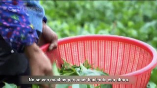 DIARIOS DE VIAJE 15/04/2017 Fu Ding 2