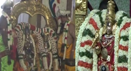 மதுரையில் மீனாட்சி சுந்தரேஸ்வர் திருக்கல்யாணம் - பல்லாயிரக்கணக்கான பக்தர்கள் தரிசனம்!