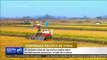 El ministro chino de Agricultura habla sobre la reforma estructural por el lado de la oferta