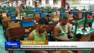 Aumenta el número de jóvenes entre los torcedores cubanos