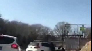 Osos atacan un coche en un zoológico de Beijing