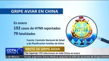 Se reportan 192 infecciones por gripe aviar en todo China en enero.