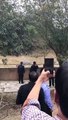 Tigre atacó a un hombre y le arrastró al parque丨CGTN en Español