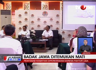 Kematian Badak Jawa Karena Faktor Usia