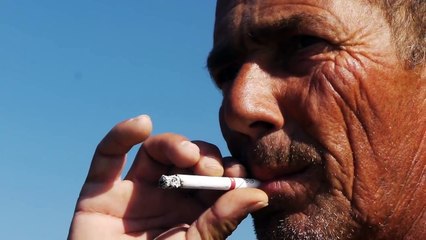 ANTES DO INVERNO - TRAILER OFICIAL do documentário sobre a Pesca Artesanal da Tainha em Bombinhas