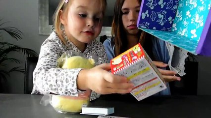 Ouverture de la Kawaii Box YumeTwins du mois d'Aout 2017 ! Gadgets du Japon Tokyo ! Unboxing