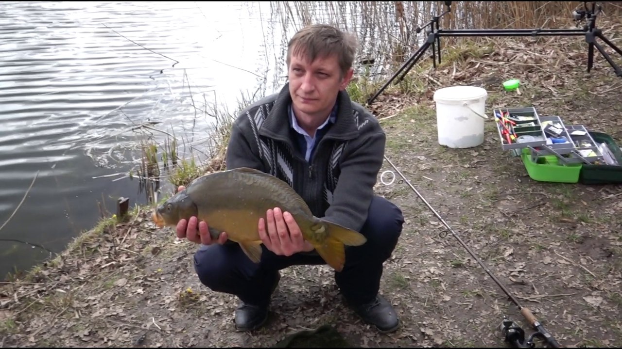 Рыбалка в Германии 46 - Бешеный клев весеннего карпа. Поймал , ОТПУСТИ.