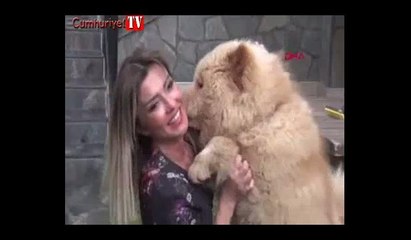 Ailesine kavuşan Herkül'ün mutluluğu