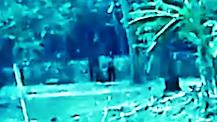 Monster Seen From A Farming Land - Mystery Caught On Camera