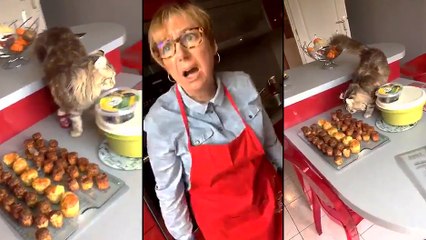 J’suis KO j’ai une pote qui m’a envoyée ça pour le 1er avril