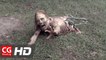 CGI VFX Breakdown HD "The Walking Dead" by Stargate Studios | CGMeetup