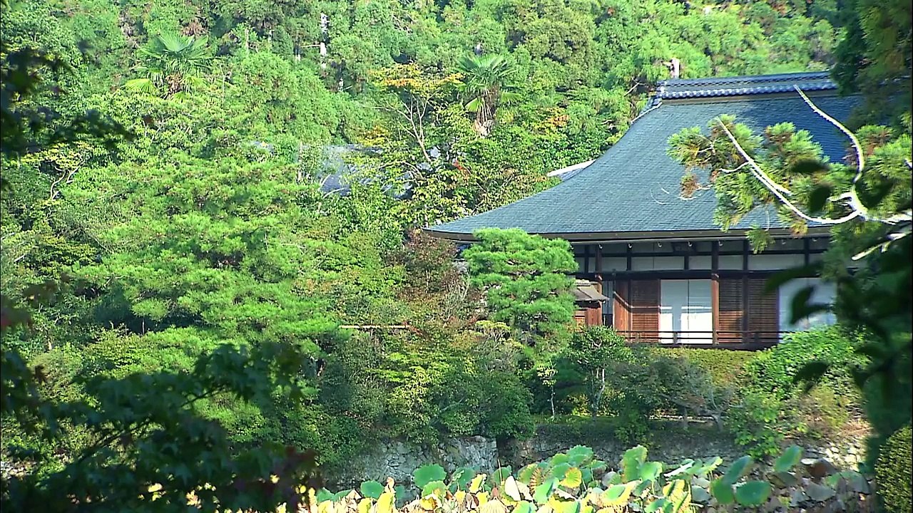 Introducing Japan