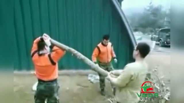 Videos Graciosos | Videos de Risa | Si te ríes Pierdes | Videos Para Morirse de la Risa - part 16