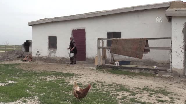 Yarım Asırlık Çiftin Zorlu Yoğurt Mesaisi