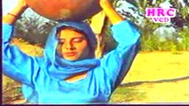 Teri Hirni Bargi Chal ||  Karambir Fauji || Haryanvi Super Hit Song || Pannu Films