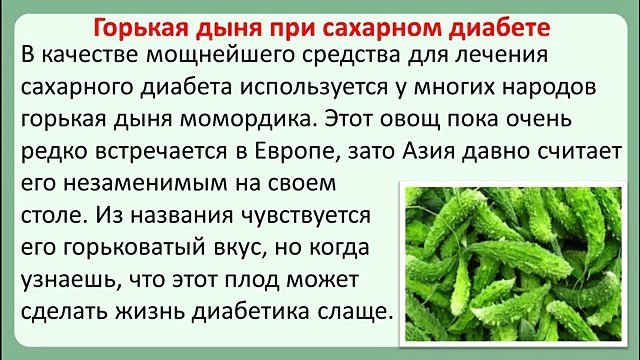 дыня фото картинки. дыня на тарелке. арбуз и дыня картинки. сорта дыни канталупа. дыня при диете 5.