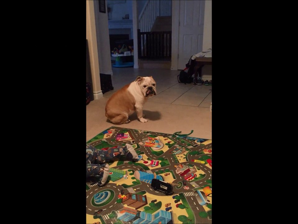 Personal Testimony - Pet HempWorx