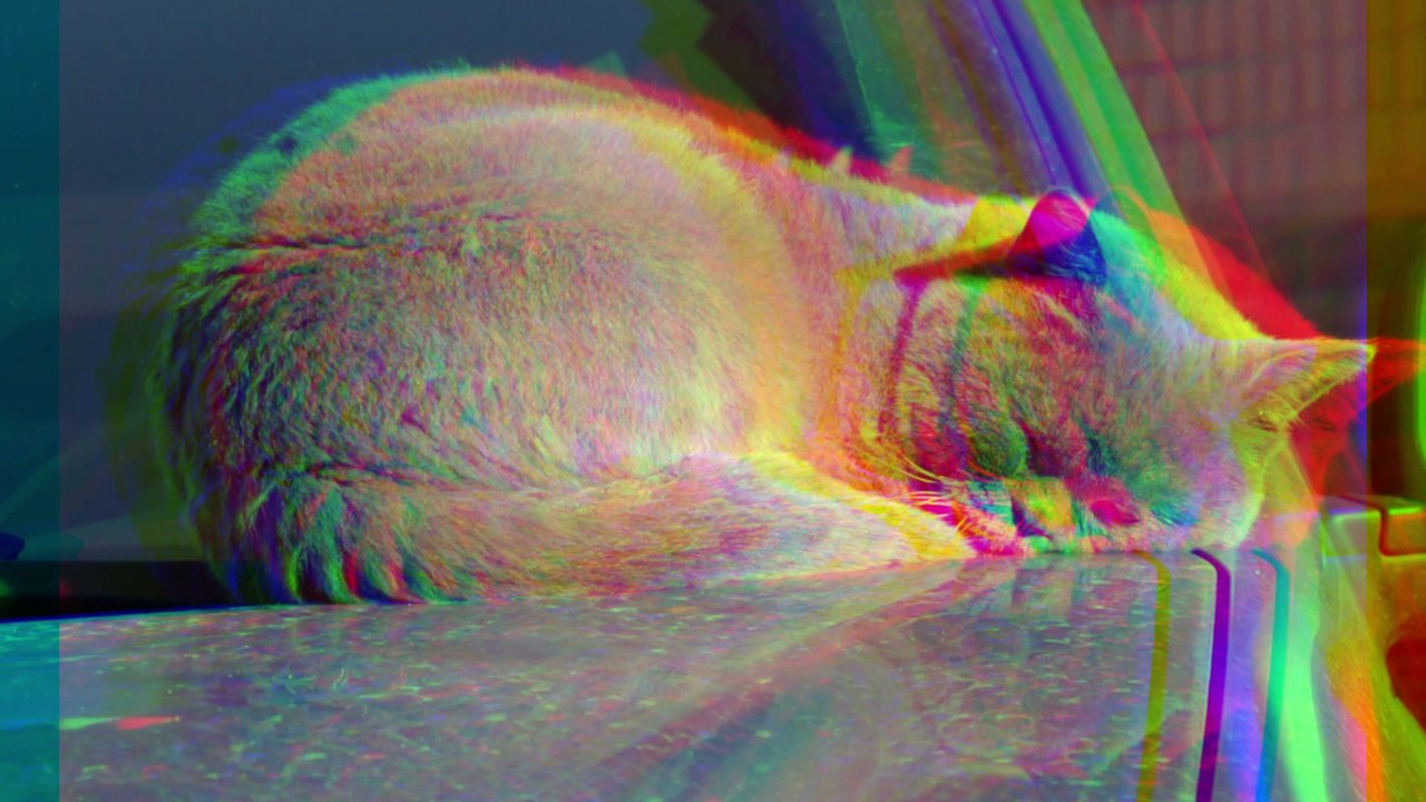 Retro Cat Sleep