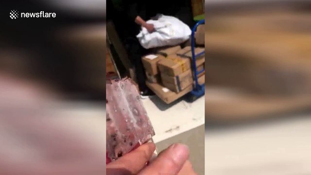 Fancy a corpsicle? Woman finds dead rat in ice pop