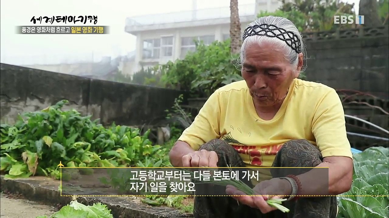 세계테마기행 - 풍경은 영화처럼 흐르고 일본영화기행 4부- 시간이 멈춘 곳, 오키나와...