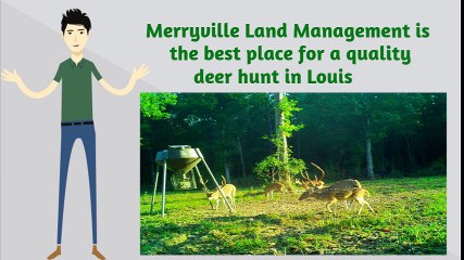 Get Ultimate Deer Hunting Adventure