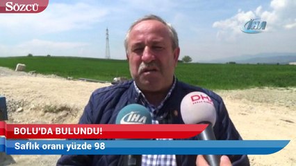 Bolu’da bulundu! Saflık oranı yüzde 98