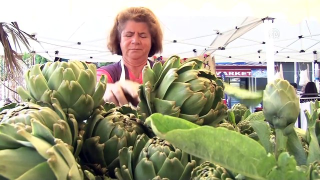 4. Uluslararası Urla Enginar Festivali başladı - İZMİR