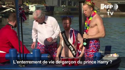 Mariage du prince Harry : des sosies font la fête