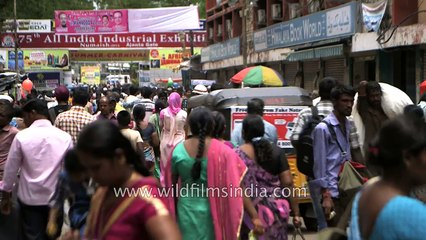 People buying Murrel fish for asthma treatment in India