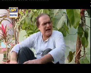 bulbulay dakoo part  137 momo ka shohar aor nabeel ke aba gi