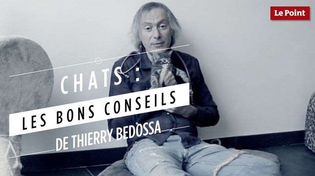 Thierry Bedossa : quelle identification choisir pour son chat ?
