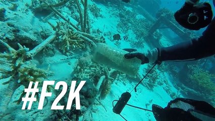 È troppo tardi per salvare gli oceani?