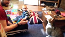 Babies Cant Stop Laughing and Giggling at Cats - Funny Baby and Cat Compilation Part 6