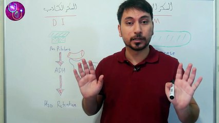 أشمل ملف عربي عن السكري الكاذب من التشخيص وحتي العلاج