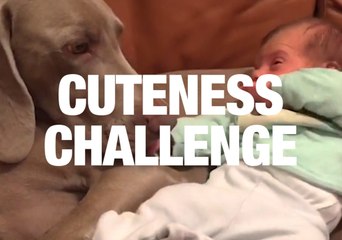 You Won't Make it Through This Video Without Smiling