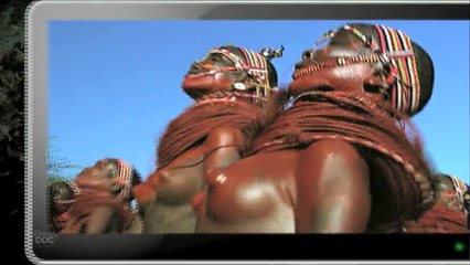 Sea Predators | Express Animal Documentaries