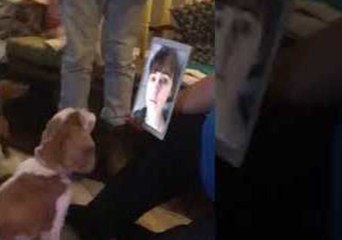 Homesick Student Receives Sweet Video From Her Family and Dogs