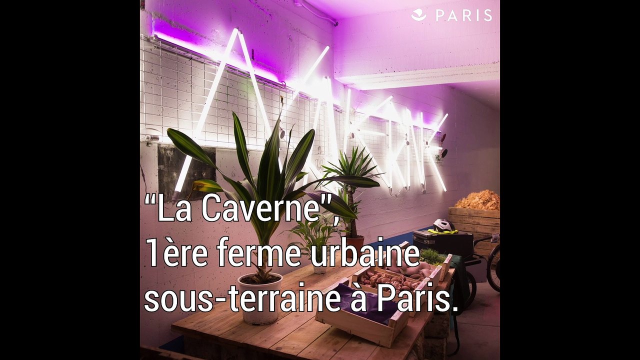 La Caverne