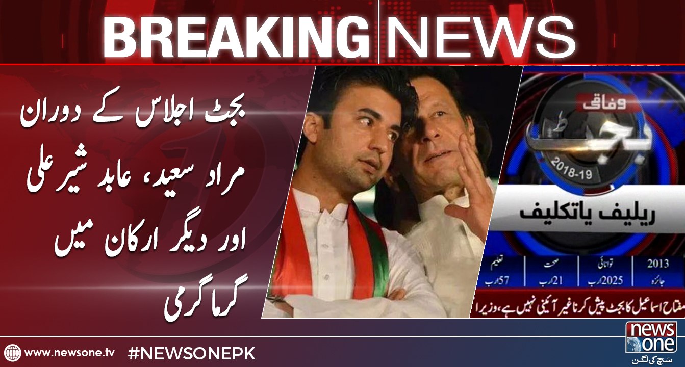 Murad Saeed Looses cool during Budget Session