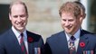 Prince Harry And Prince William’s Cutest Brother Moments