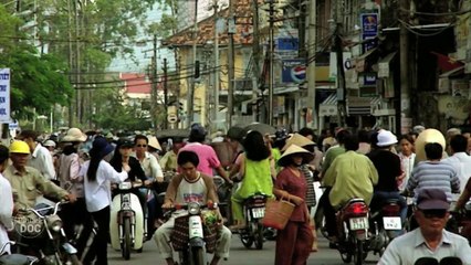 Relationship & Animal Mating | Aggressive Male - Documentary