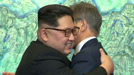 "올해 종전 선언...평화협정 전환" / YTN