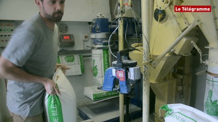 Pont-l'Abbé. Le Moulin de l'écluse : minoterie familiale qui depuis trois générations