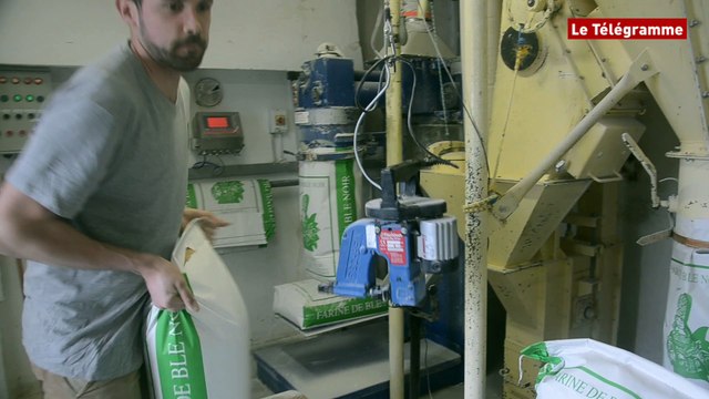 Pont-l'Abbé. Le Moulin de l'écluse : minoterie familiale qui depuis trois générations