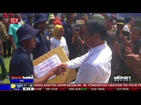 Mentan Setuju Inseminasi Buatan Peternakan Sapi di Sulsel