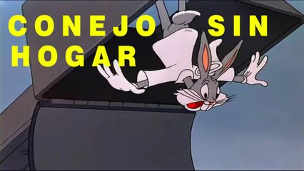 BUGS BUNNY - Un Conejo Sin Hogar (Homeless Hare ) |Audio Latino|