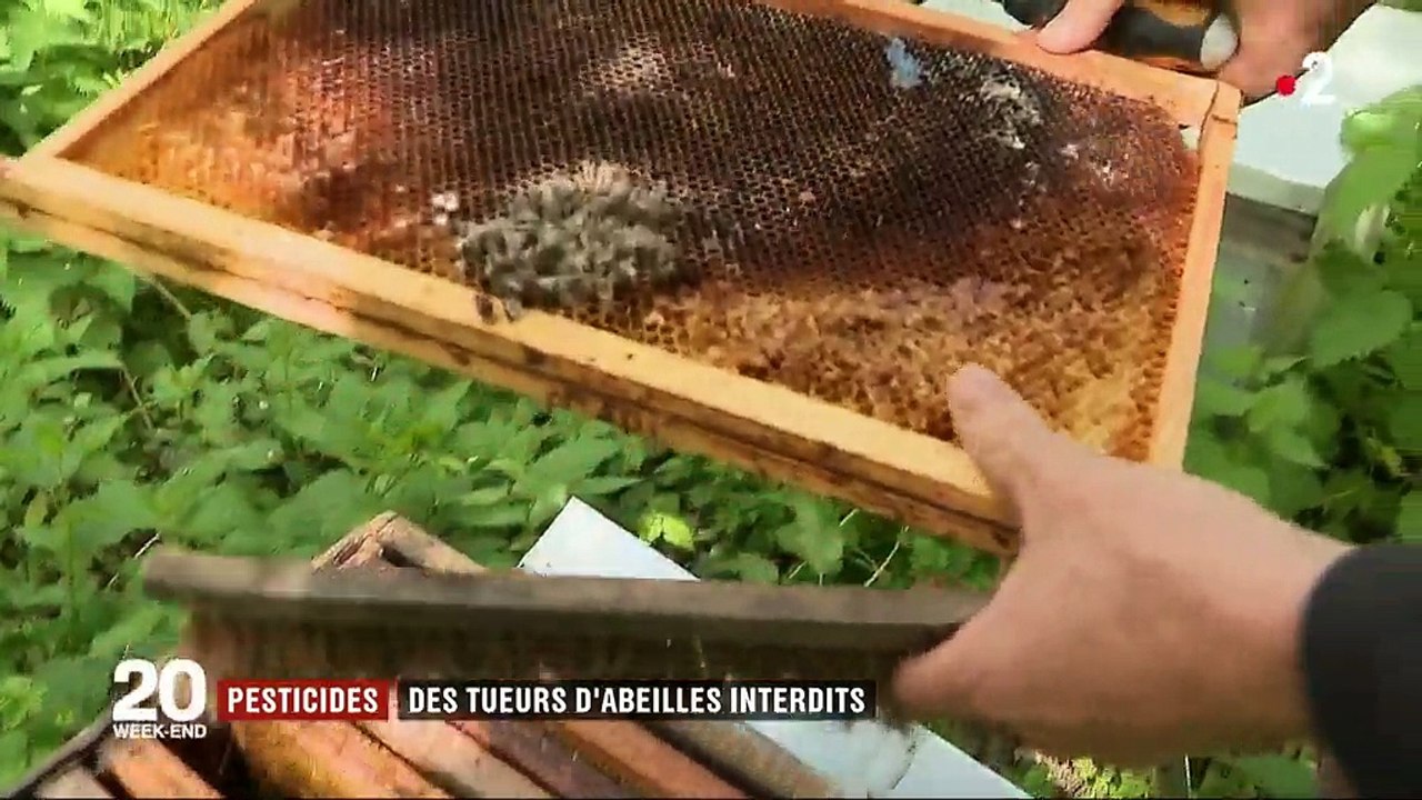 Pesticides : trois néonicotinoïdes dangereux po...